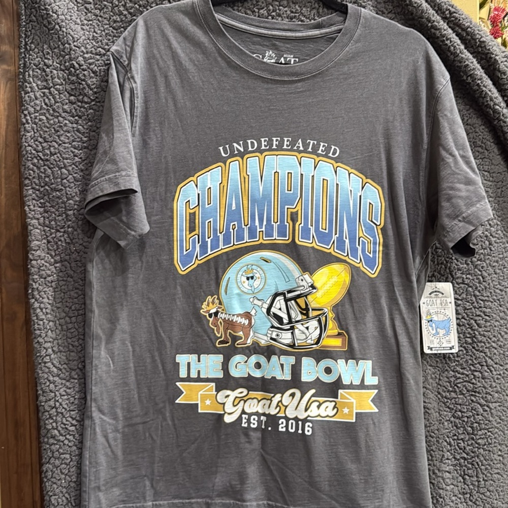 Gray Champions Graphic T-Shirt
